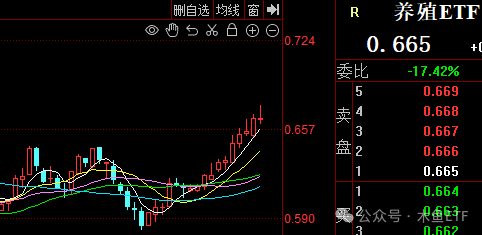 全面行情没戏，关注四类投资机会套路