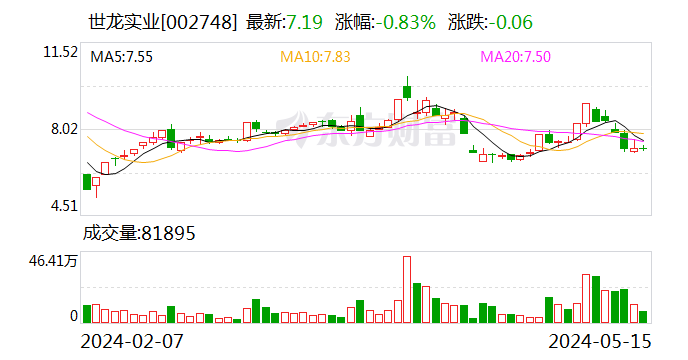 世龙实业：公司股票5月17日起实施其他风险警示  第1张