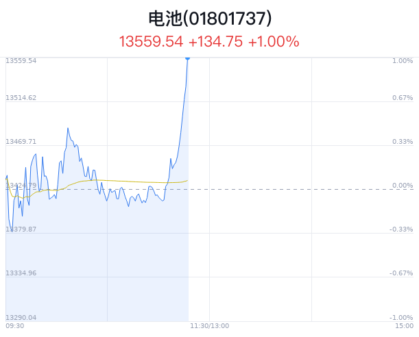 电池行业盘中拉升，*ST保力涨停