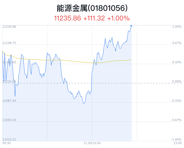 能源金属行业盘中拉升，腾远钴业涨5.25%