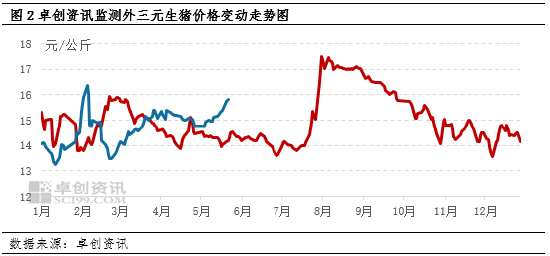 卓创资讯：猪价上涨带动仔猪育肥盈利上行