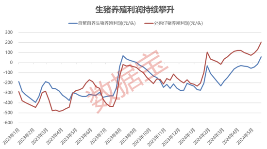 时隔8个月首次录得盈利，猪价加速上涨，机构提前布局这些生猪养殖股