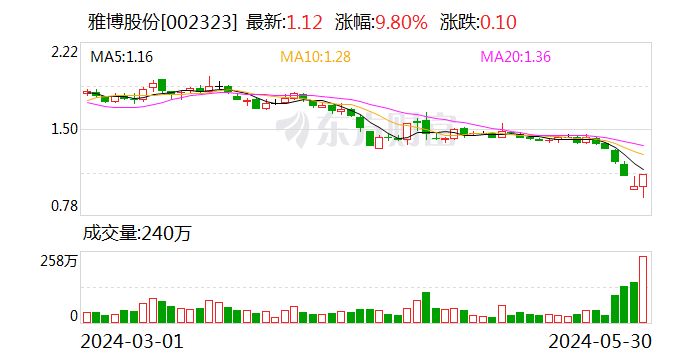 雅博股份：控股股东拟以5000万元至1亿元增持公司股份