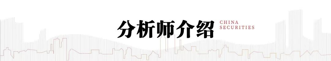 中信建投：2024年6月金股组合