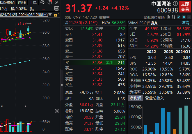 中国海油股价再创历史新高，深水勘探获重大突破