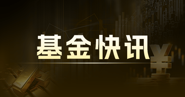 银华心享一年持有期混合：净值0.6559元下跌0.30%，近1个月收益率-5.79%  第1张