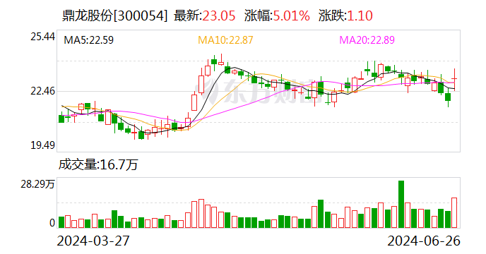 上半年业绩大幅预增逾110%，鼎龙股份早盘大涨超6%