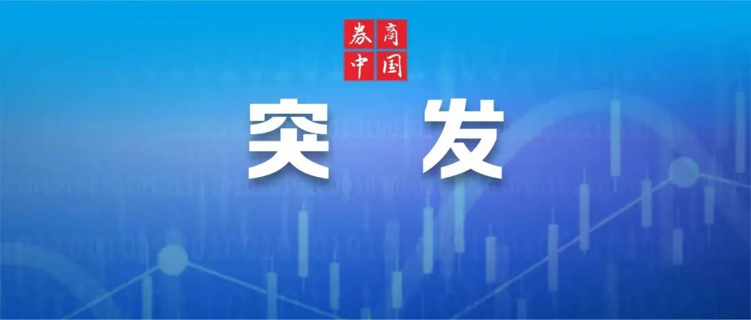 A股全线飙升 分析人士认为：市场大反攻可能与“国家队”出手有关