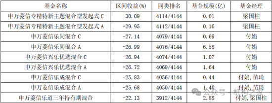 管理9只基金、收益全部为负！申万菱信头牌基金经理付娟愧对基民