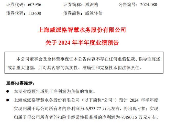 威派格2024年上半年预计亏损6973.77万同比亏损增长 公司收入确认与回款周期不及预期