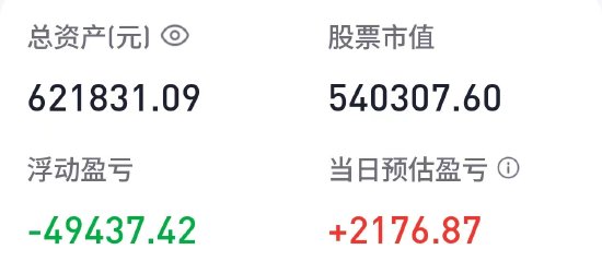 胡锡进：今天回血2176元，总亏损仍在7.82万元