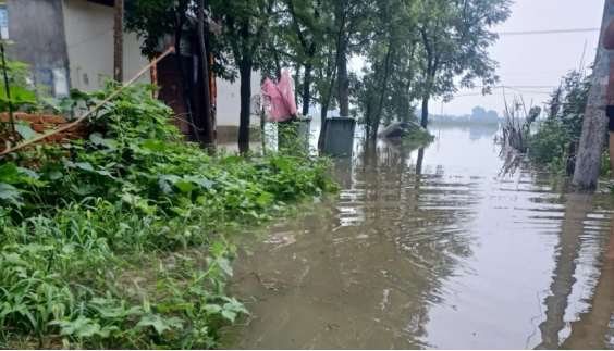 南阳暴雨以致当地猪场受灾！牧原回应：公司经营未受影响！官方发布汛期猪场应急管理七条措施  第2张