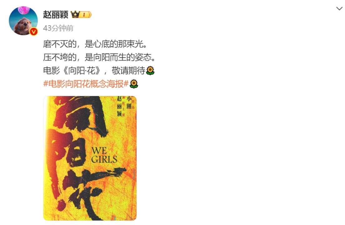 赵丽颖领衔主演冯小刚新片 《向阳・花》发布概念海报公布主演阵容