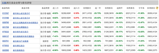 嘉实新兴产业股票近一年跌超25% 嘉实基金归凯“跌落神坛” 二季度新进重仓公牛集团