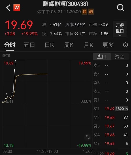 直线20cm涨停，官宣重大突破！复合增速达52%，这个热门行业高景气，高增长低估值股揭秘