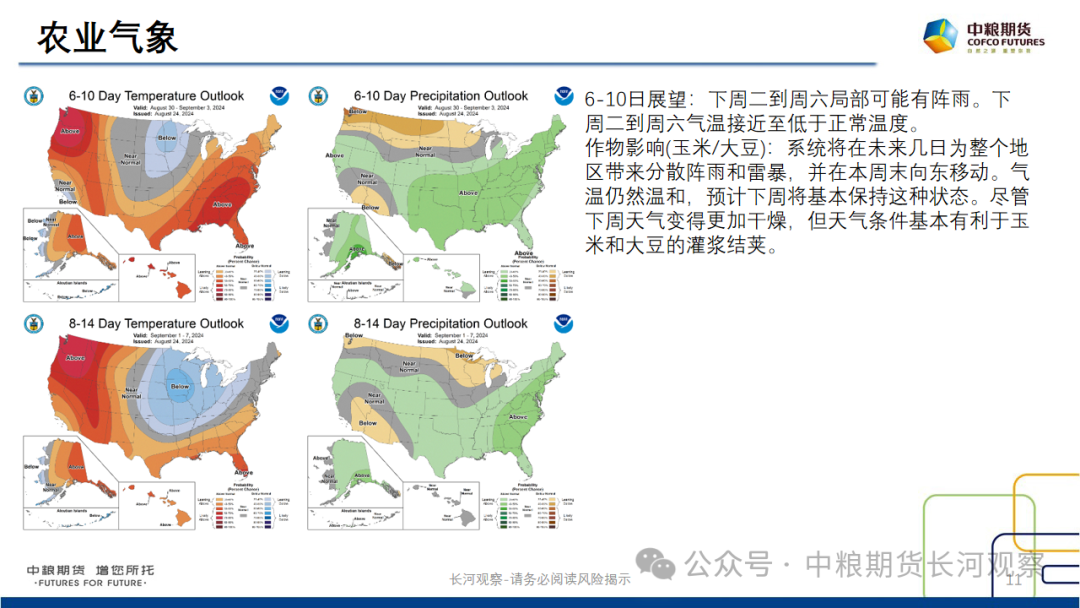 【长河报告】大豆、豆粕周度数据20240823：作物巡查结果偏好，美豆出口略有升温  第10张