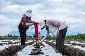 拼多多发布Q2财报，陈磊：坚定走高质量发展道路，投入百亿扶持新质商家