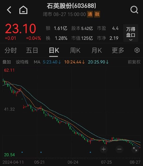 去年股息率超过22%，背后真相曝光！今年潜在股息率或超8%的个股揭秘（附股）