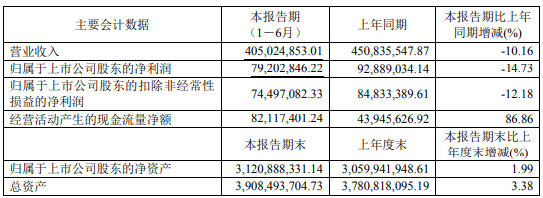 康辰药业2024年上半年净利7920.28万 借款利息增加以及汇率波动导致汇兑损益减少