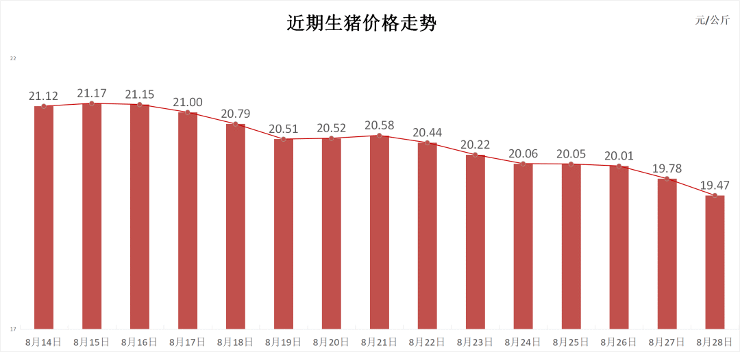 每日猪讯8.28