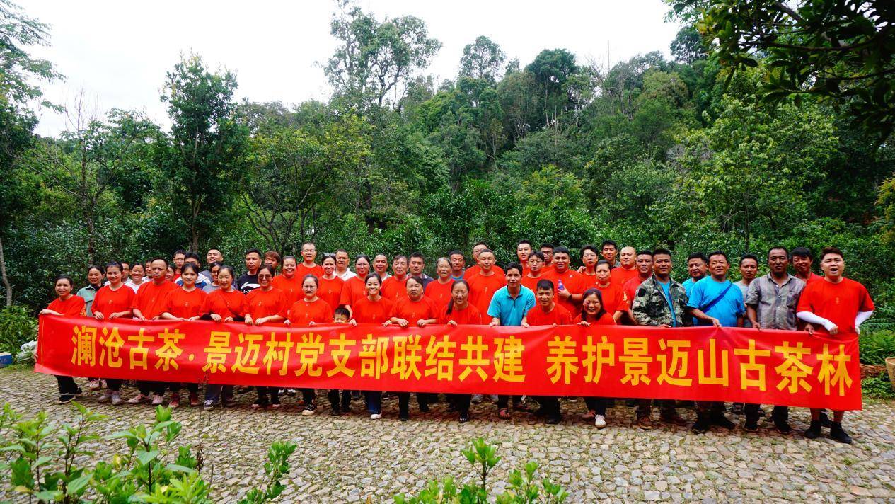 全国模范！澜沧古茶荣获全国民族团结进步模范集体称号