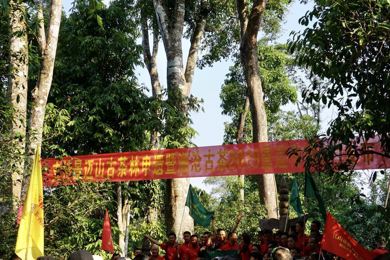 全国模范！澜沧古茶荣获全国民族团结进步模范集体称号