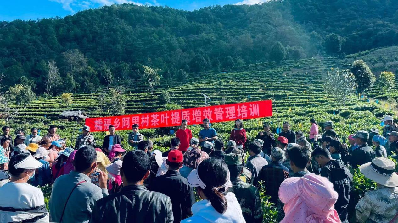 全国模范！澜沧古茶荣获全国民族团结进步模范集体称号  第10张