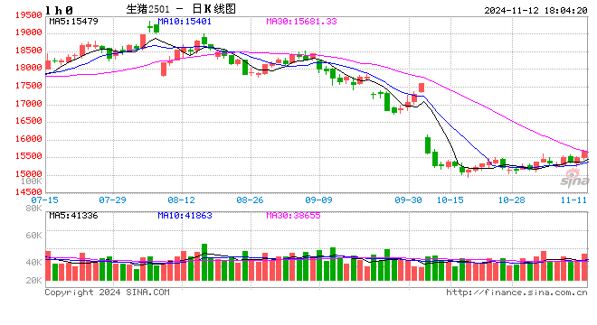 每日猪讯11.12