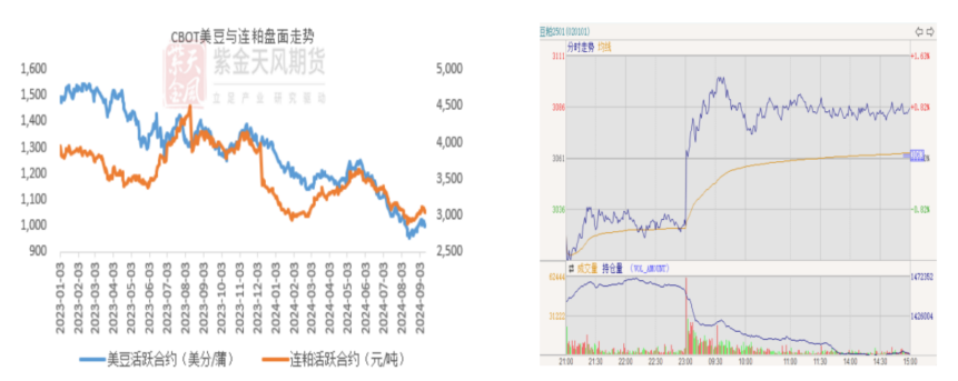 豆粕：难抓的豆粕