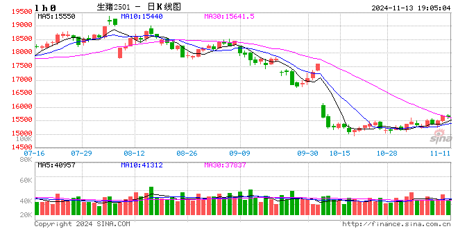 生猪：如何看待11月下半月行情？