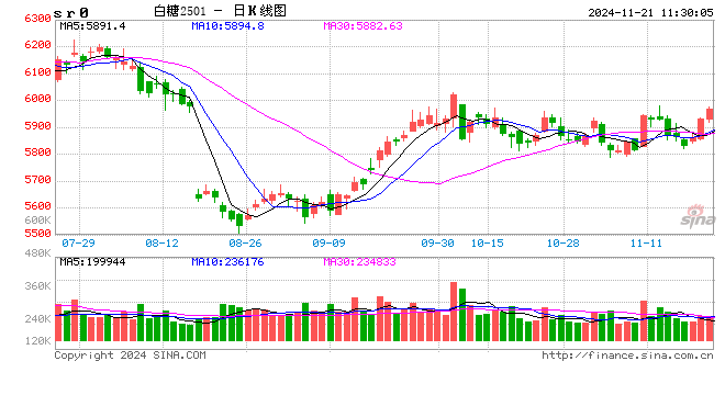 光大期货：11月21日软商品日报